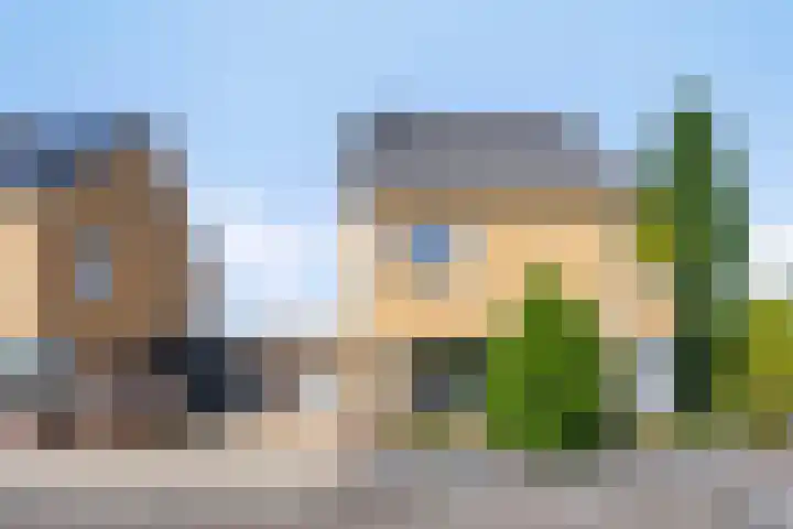 Havikskruid 5 Elsloo thumbnail 6