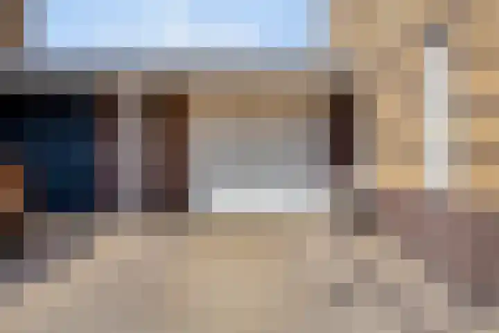 Havikskruid 5 Elsloo thumbnail 8