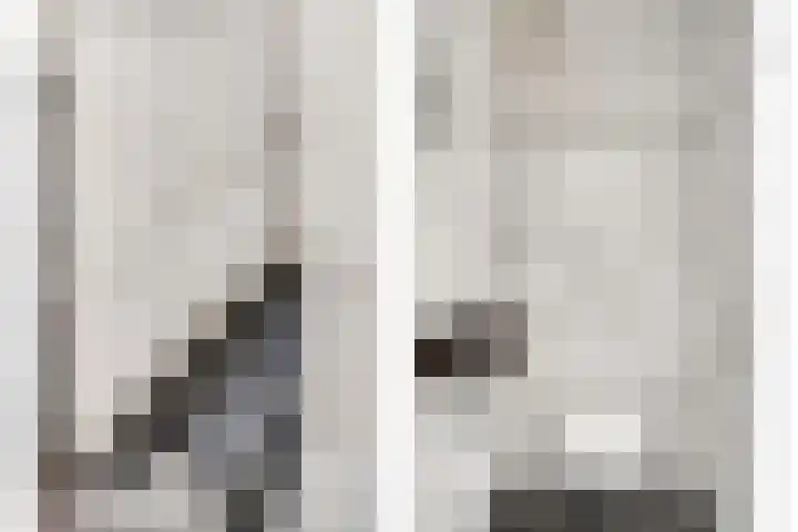 Havikskruid 5 Elsloo thumbnail 9