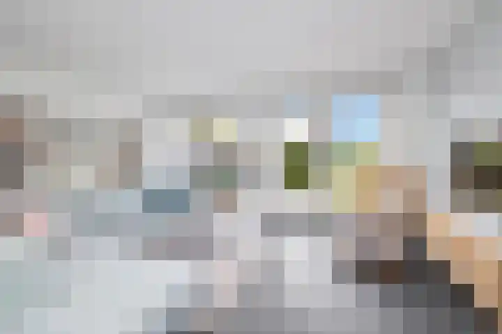 Havikskruid 51 Berghem thumbnail 13