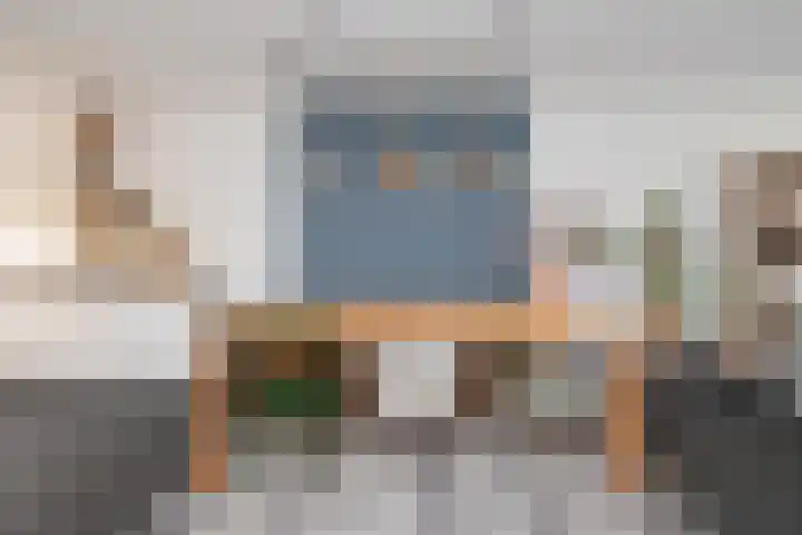 Havikskruid 51 Berghem thumbnail 20