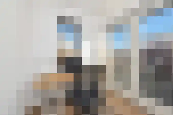 Havikskruid 51 Berghem thumbnail 30