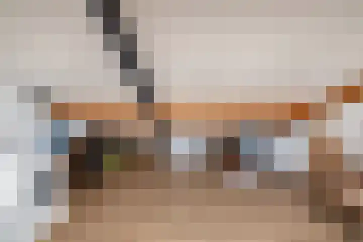 Havikskruid 51 Berghem thumbnail 41