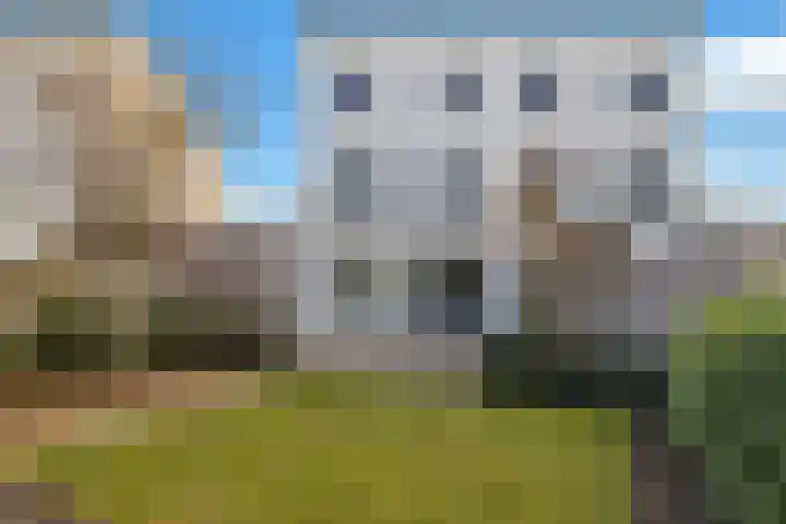 Havikskruid 51 Berghem thumbnail 5