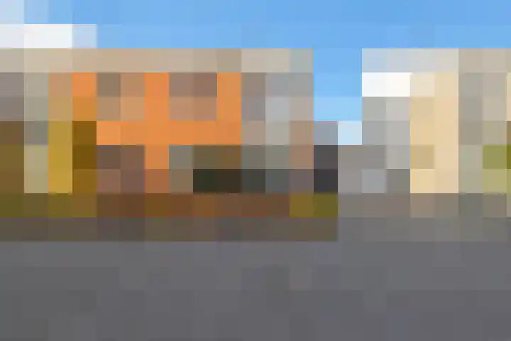 Havikskruid 51 Berghem thumbnail 6