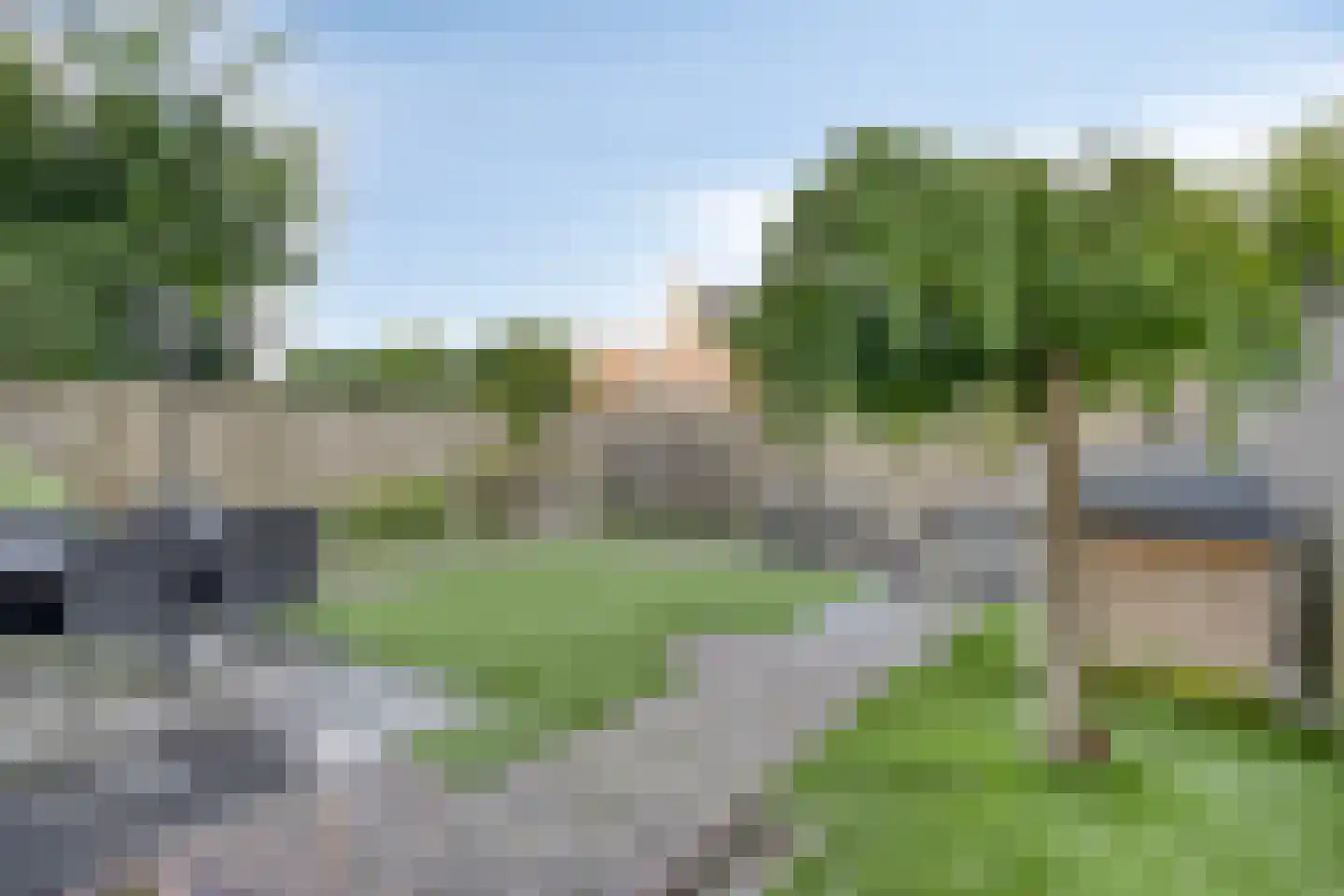 Havikskruid 53 Berghem thumbnail 20