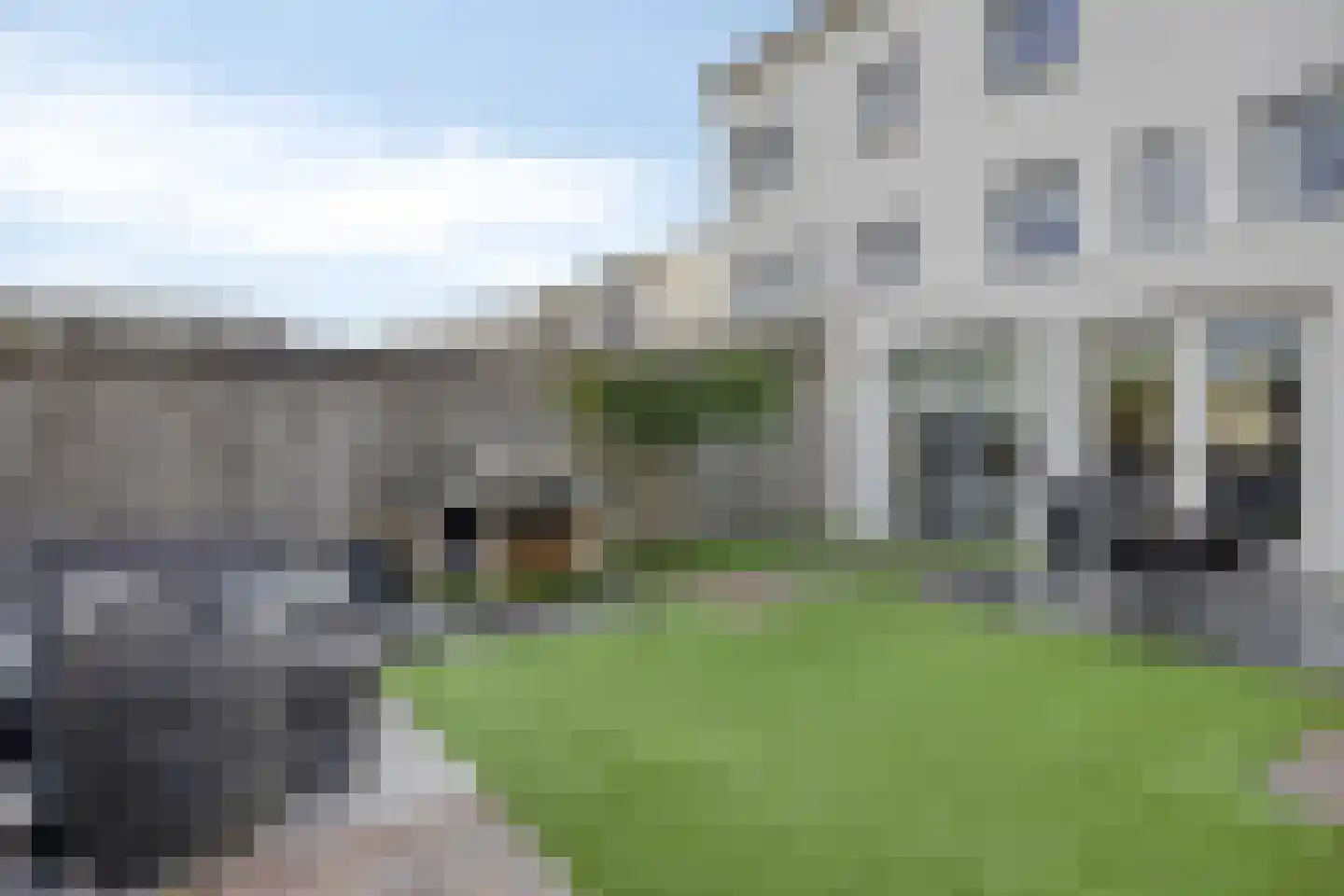 Havikskruid 53 Berghem thumbnail 21