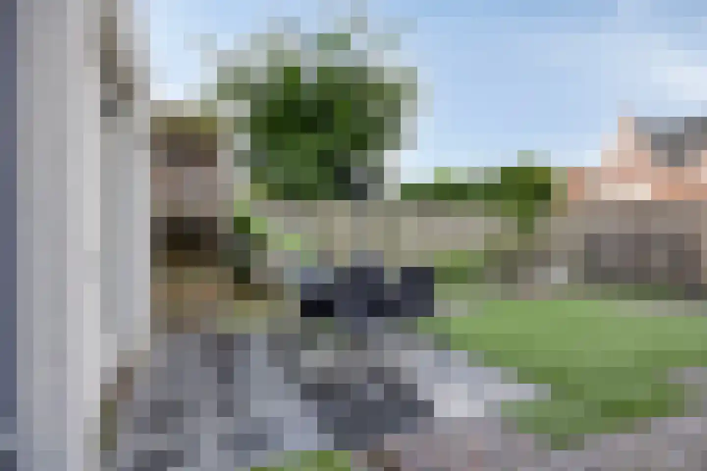 Havikskruid 53 Berghem thumbnail 22