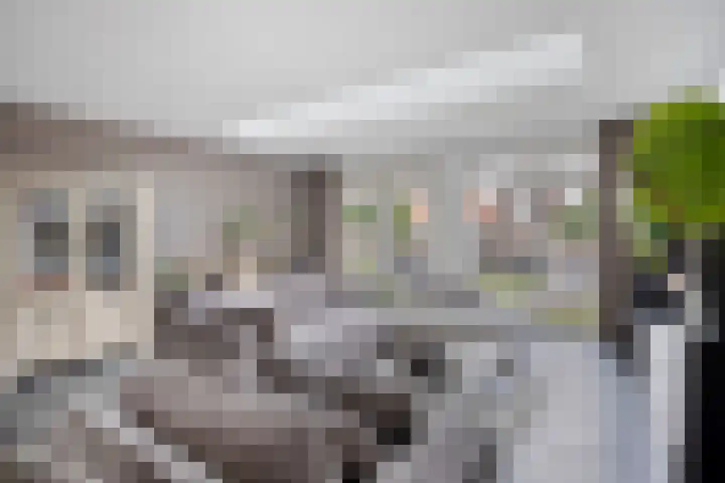 Havikskruid 53 Berghem thumbnail 6