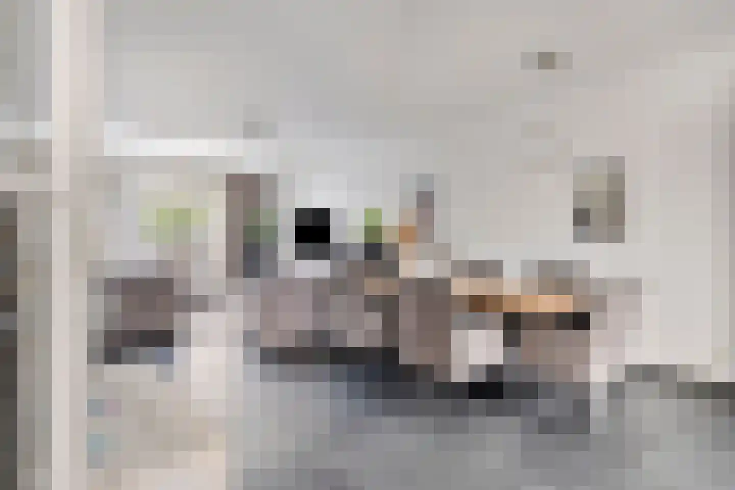 Havikskruid 53 Berghem thumbnail 7