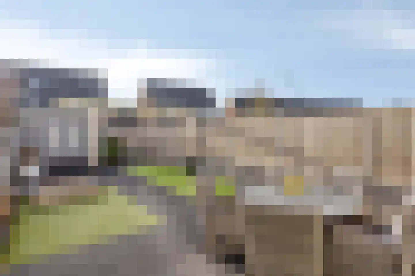 Havikskruid 62 Berghem thumbnail 26