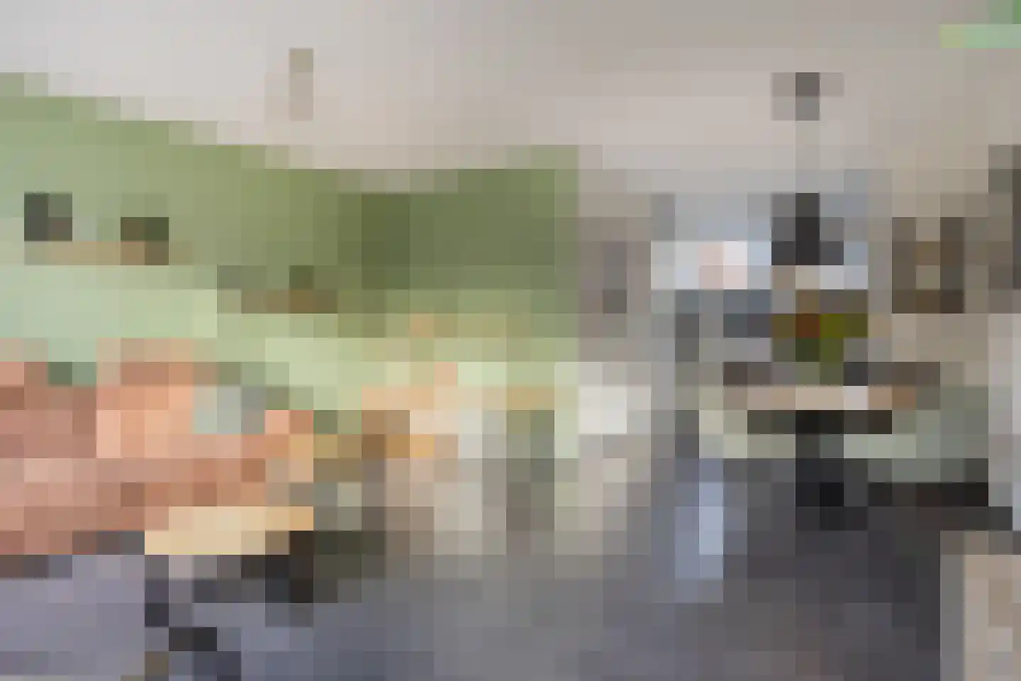 Havikskruid 62 Berghem thumbnail 4