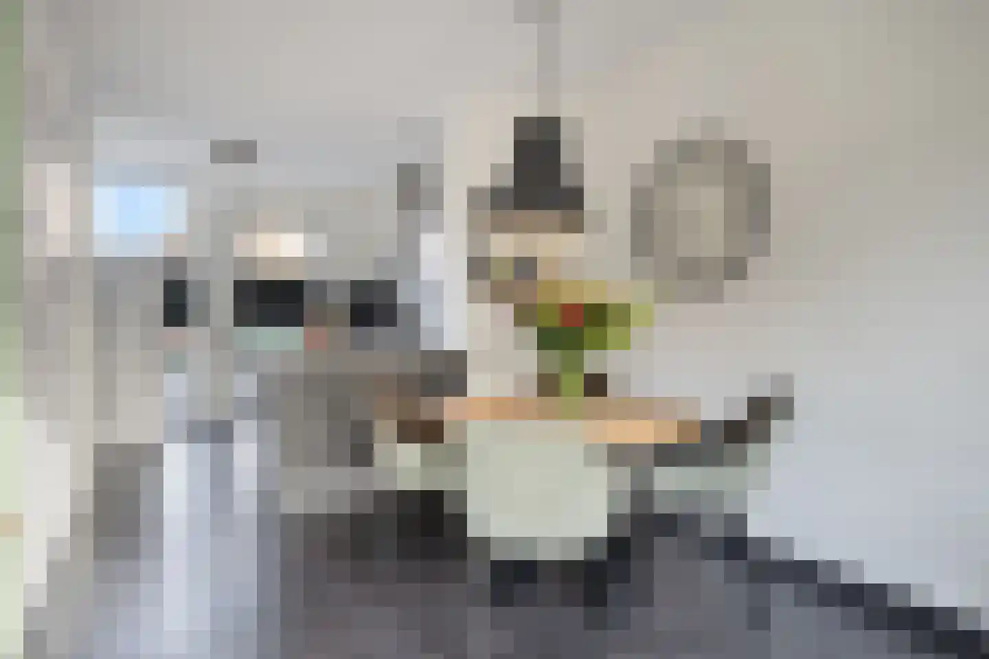 Havikskruid 62 Berghem thumbnail 6