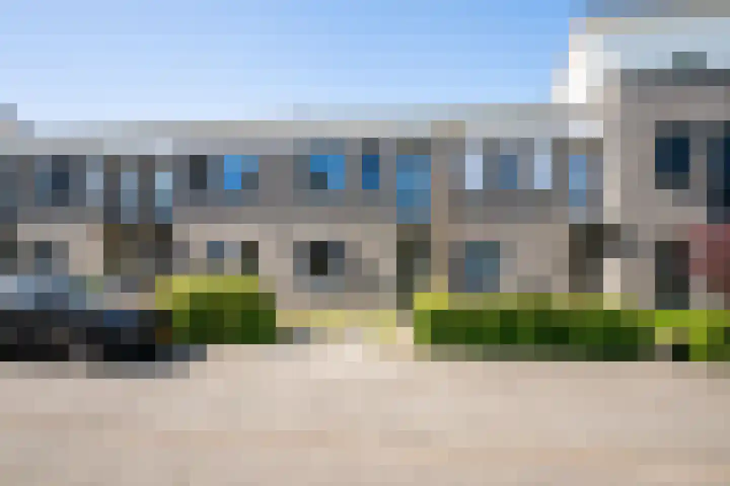 Havikskruid 67 Berghem thumbnail 21