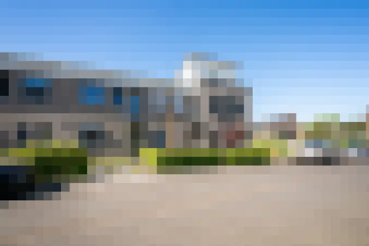 Havikskruid 67 Berghem thumbnail 6