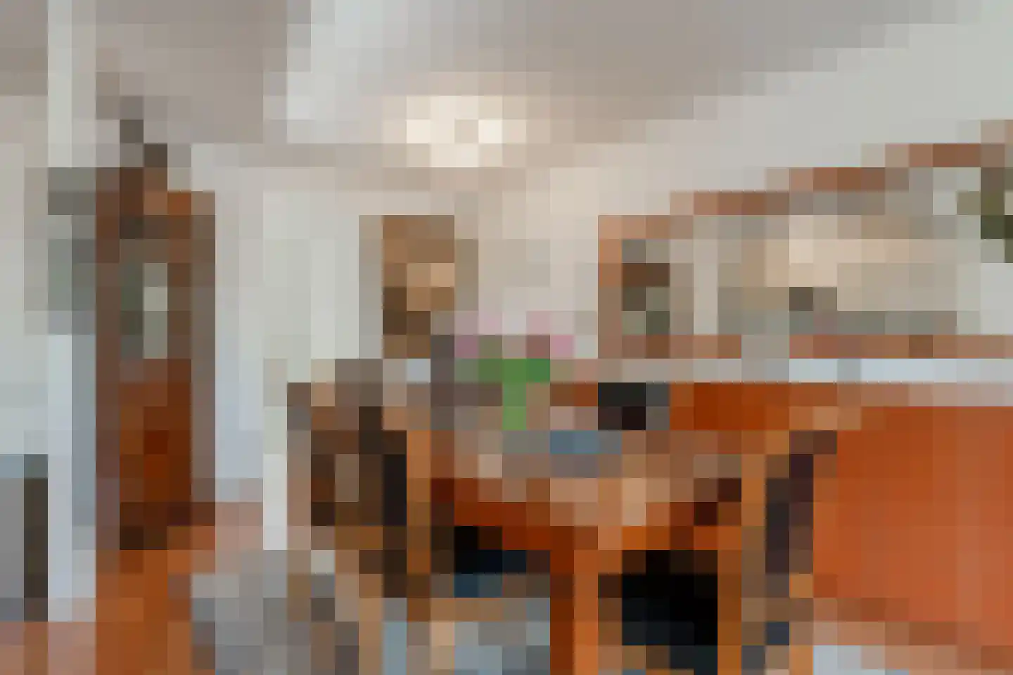 Havikskruid 68 Diemen thumbnail 16