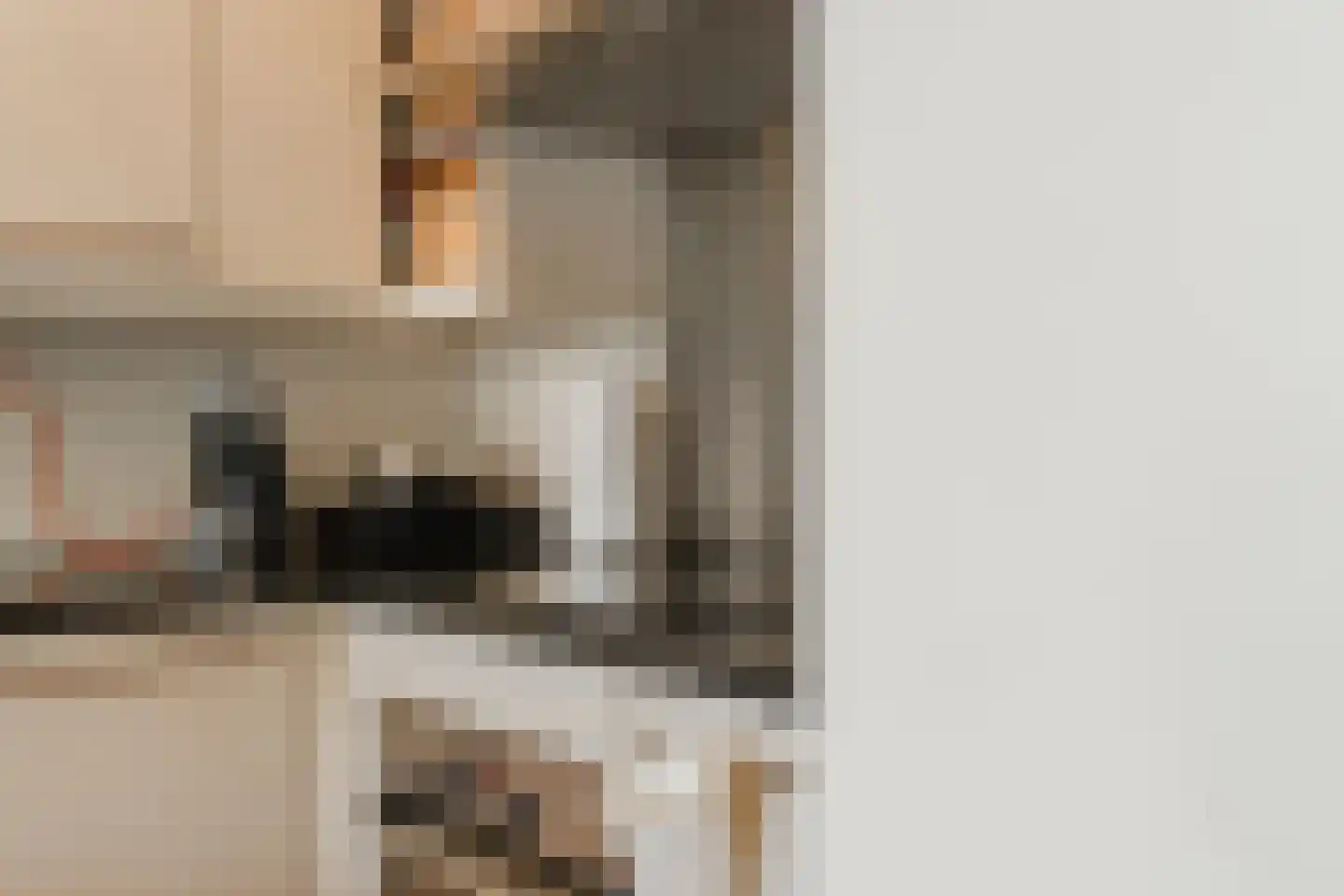 Havikskruid 68 Diemen thumbnail 22