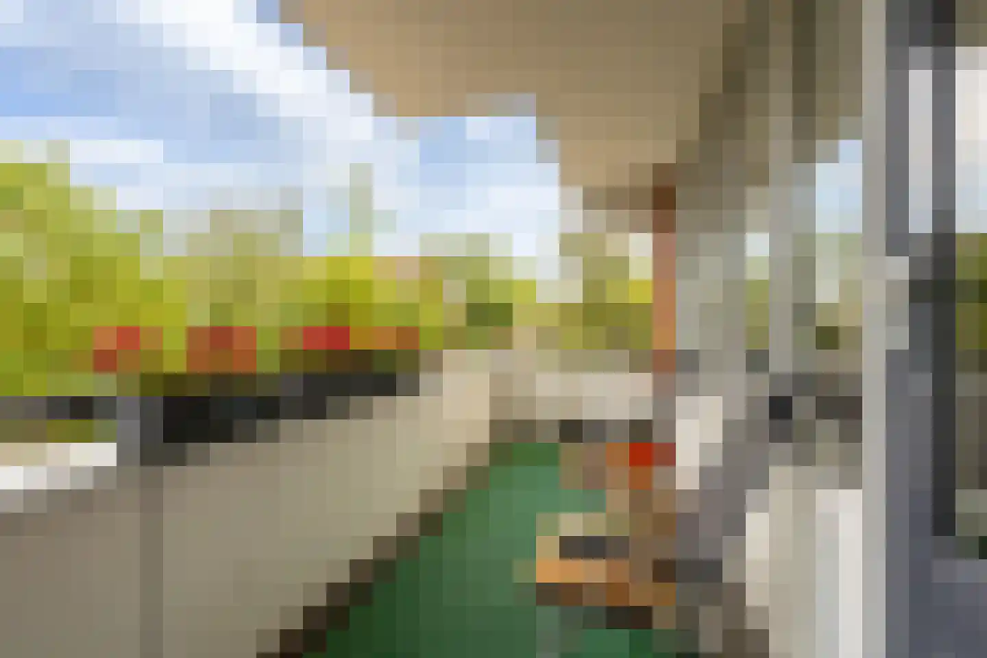 Havikskruid 68 Diemen thumbnail 23