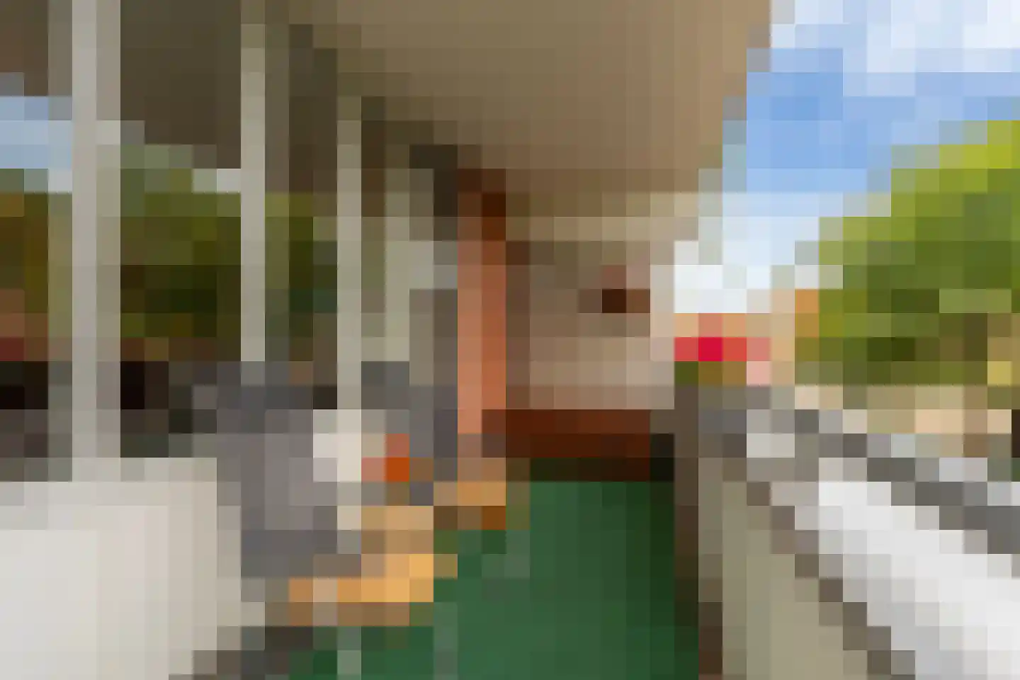 Havikskruid 68 Diemen thumbnail 24