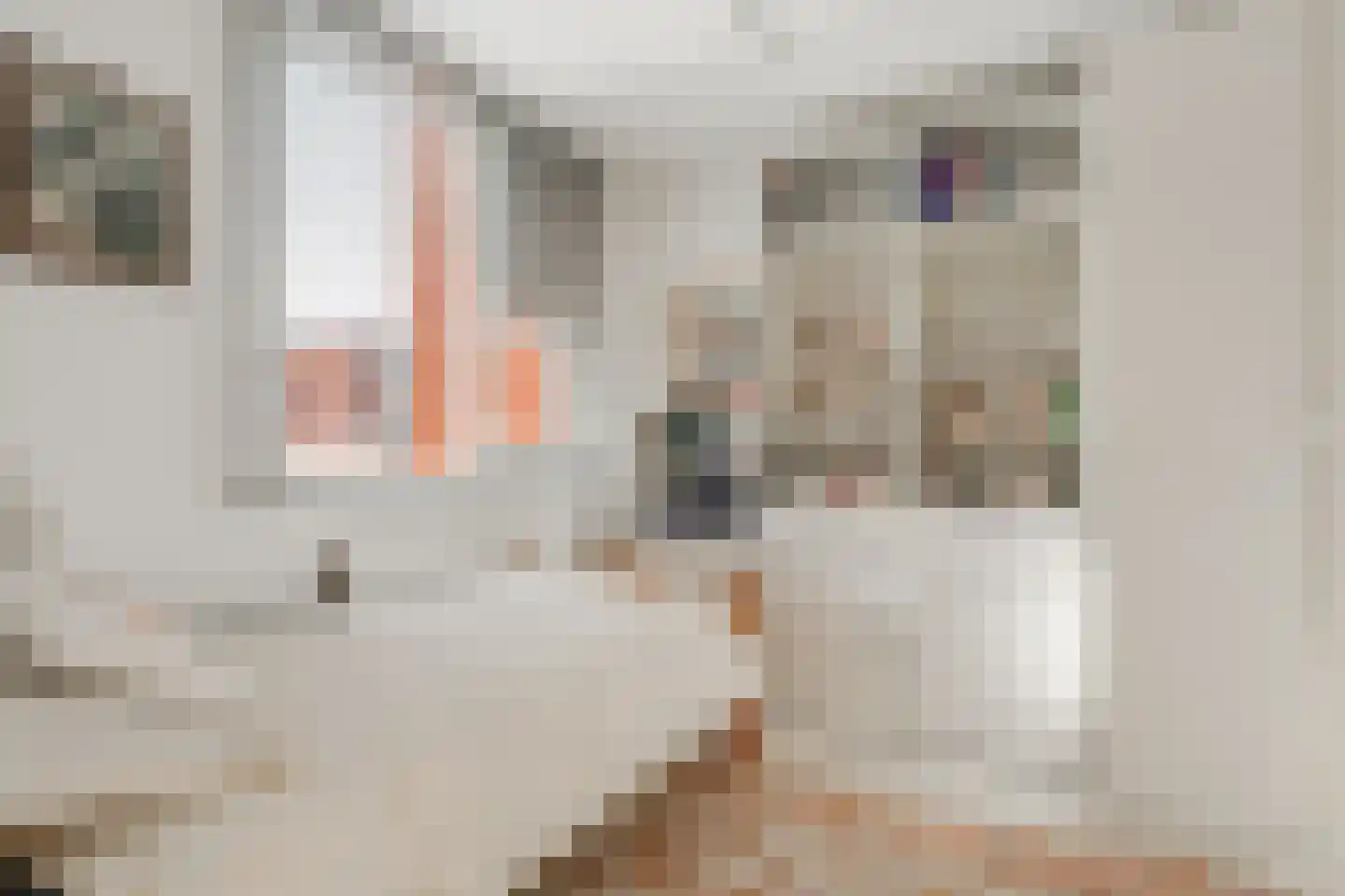 Havikskruid 68 Diemen thumbnail 31