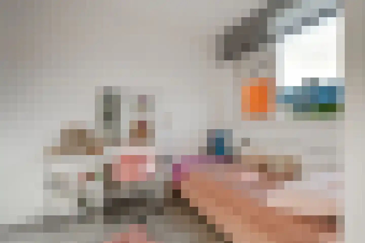 Havikskruid 68 Diemen thumbnail 32