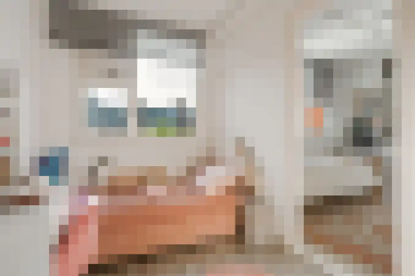 Havikskruid 68 Diemen thumbnail 33