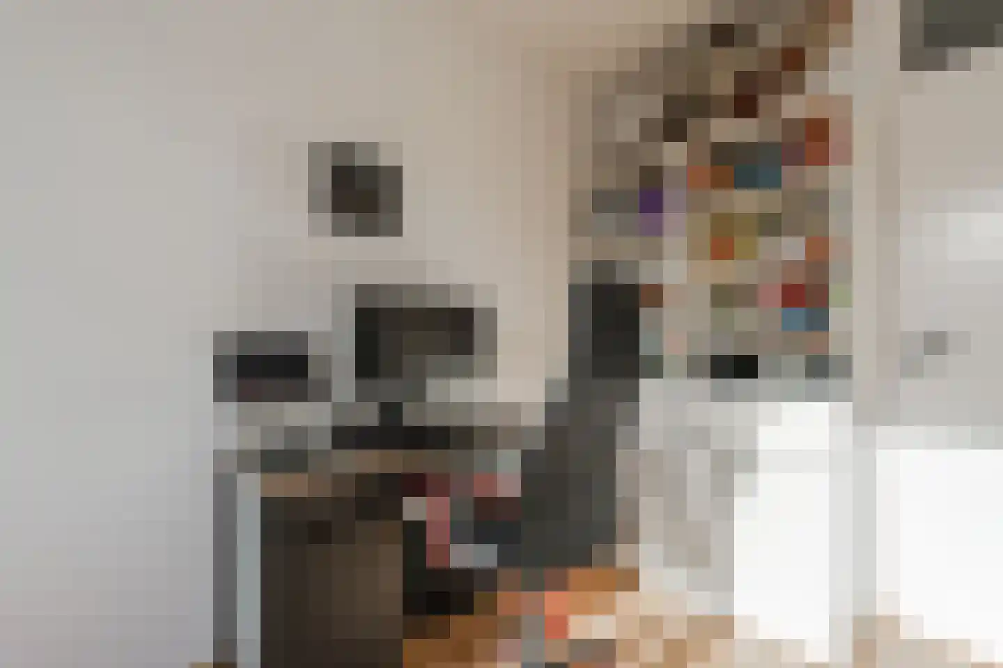 Havikskruid 68 Diemen thumbnail 35