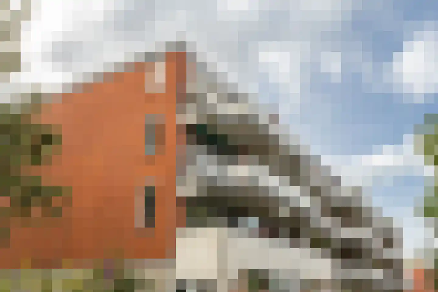 Havikskruid 68 Diemen thumbnail 43