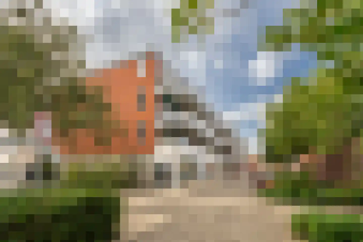 Havikskruid 68 Diemen thumbnail 44