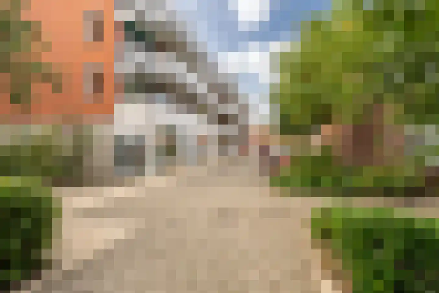Havikskruid 68 Diemen thumbnail 45