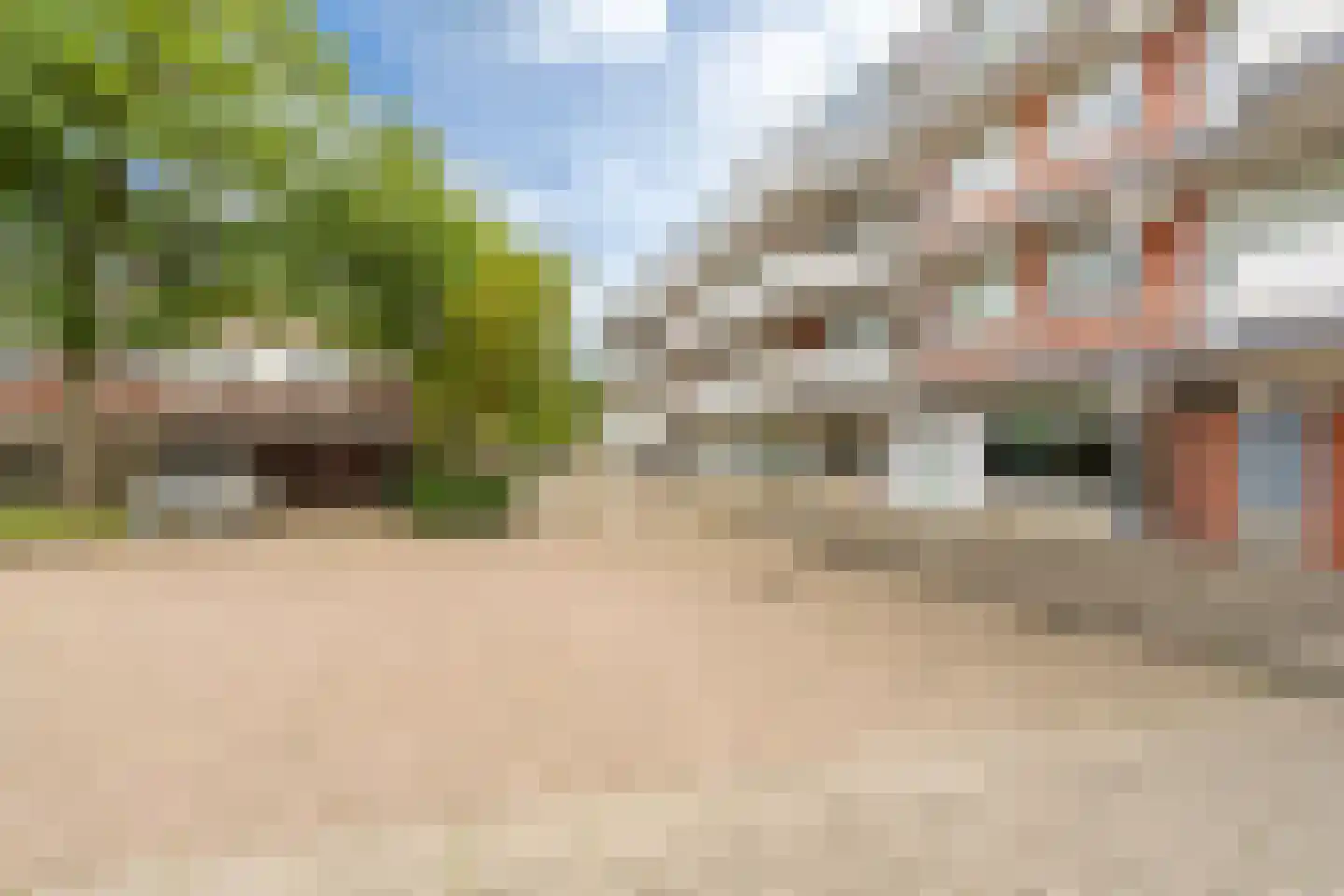 Havikskruid 68 Diemen thumbnail 46