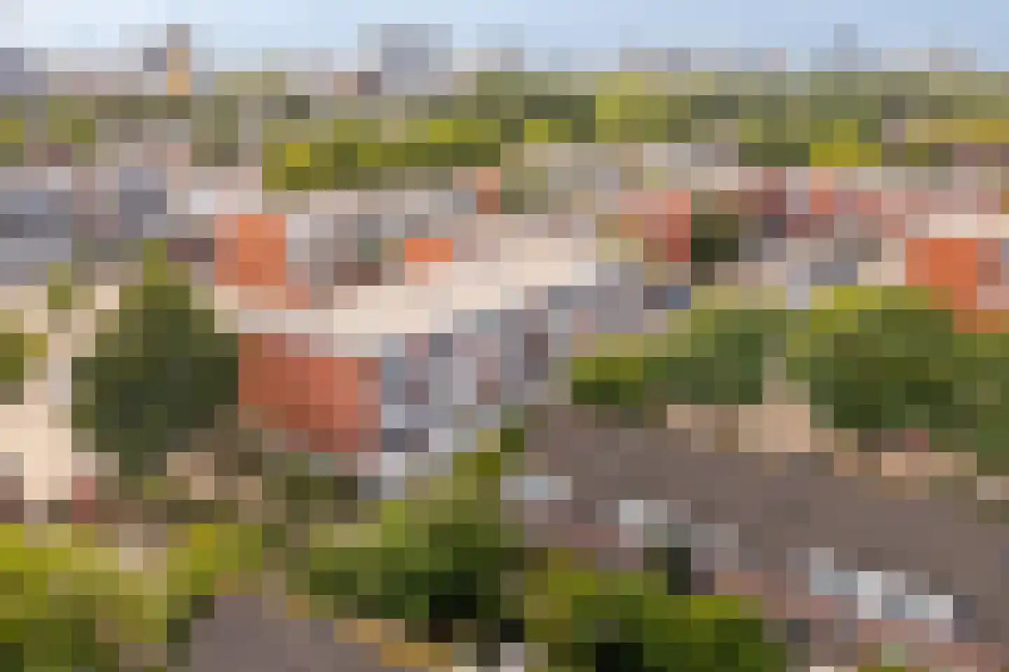 Havikskruid 68 Diemen thumbnail 47