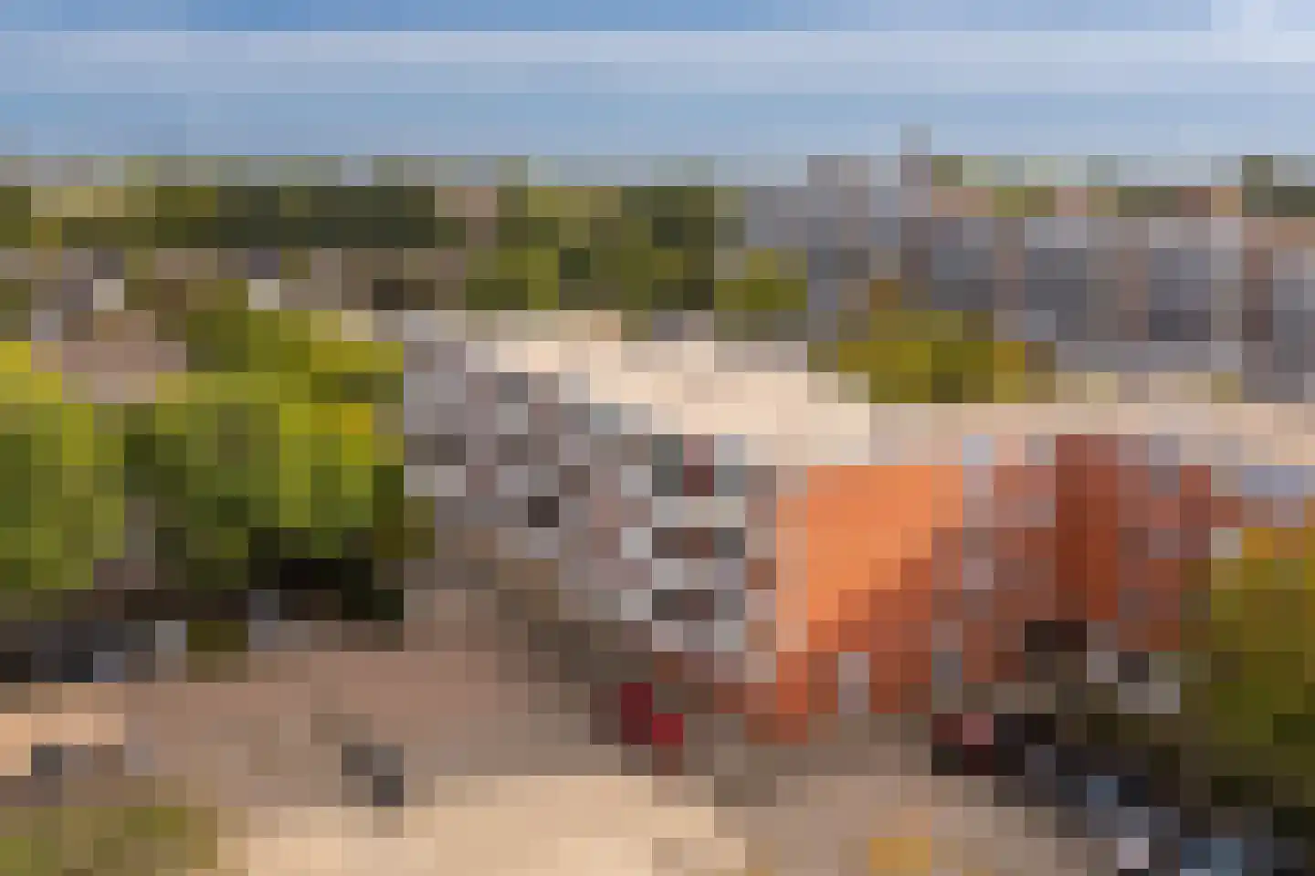 Havikskruid 68 Diemen thumbnail 48