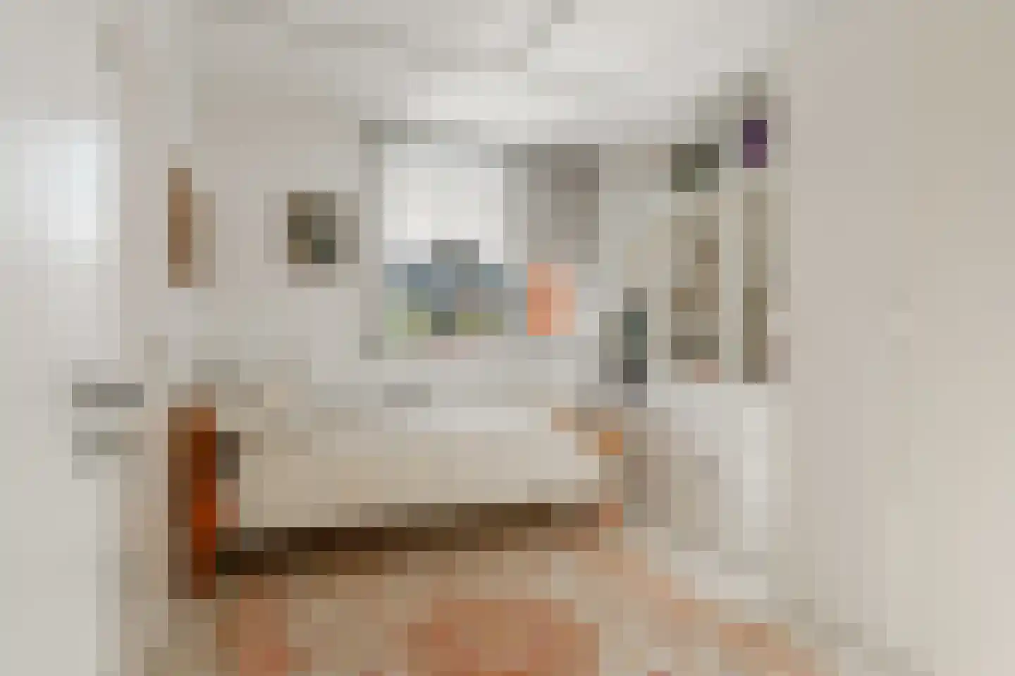 Havikskruid 68 Diemen thumbnail 6