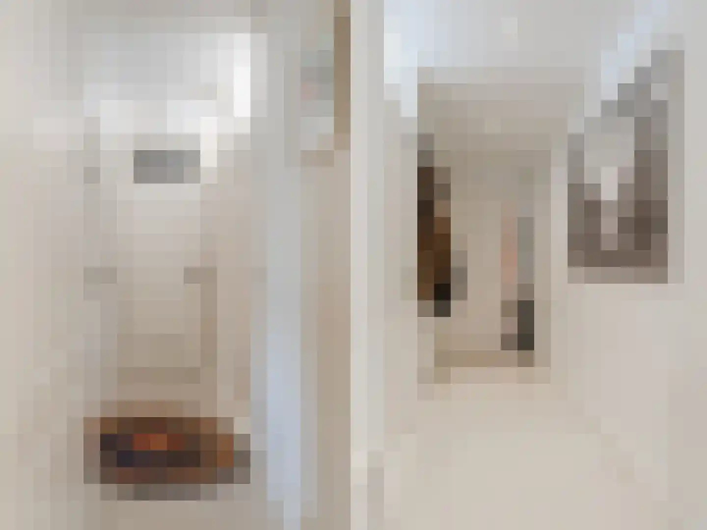 Havikskruid 68 Diemen thumbnail 8
