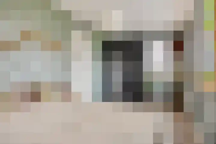 Havikskruid 76 Berghem thumbnail 22