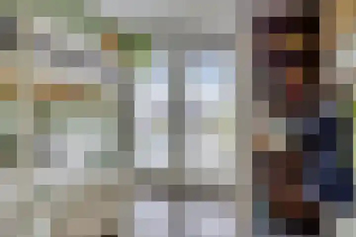 Havikskruid 76 Berghem thumbnail 26