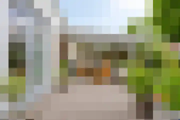 Havikskruid 76 Berghem thumbnail 33