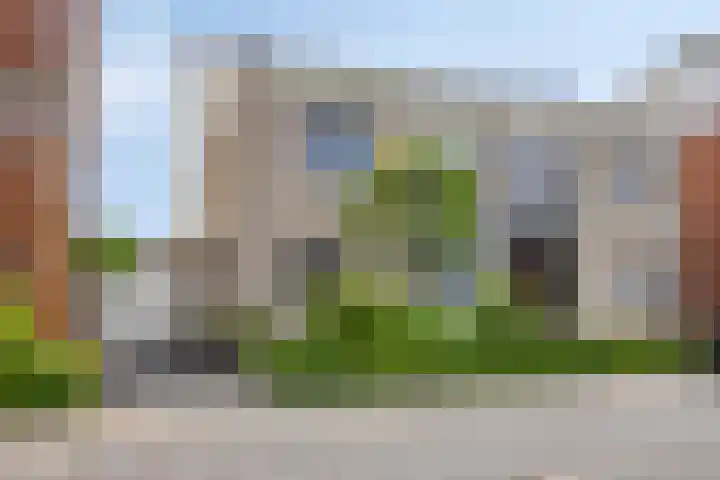 Havikskruid 76 Berghem thumbnail 4