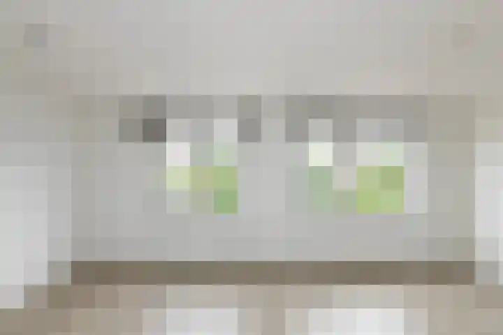 Havikskruid 85 Zeewolde thumbnail 11