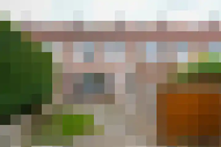 Havikskruid 85 Zeewolde thumbnail 19