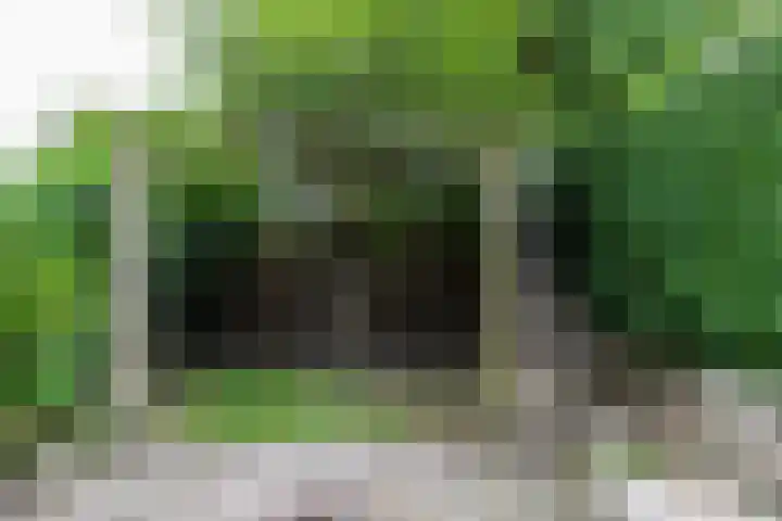 Havikskruid 85 Zeewolde thumbnail 22
