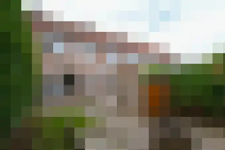 Havikskruid 85 Zeewolde thumbnail 23