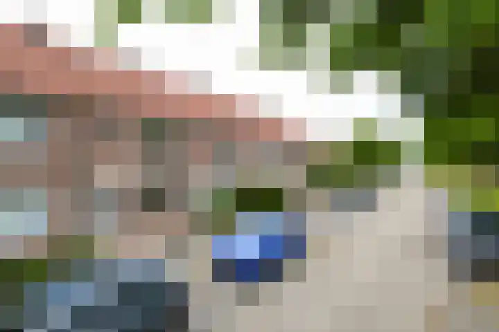 Havikskruid 85 Zeewolde thumbnail 24