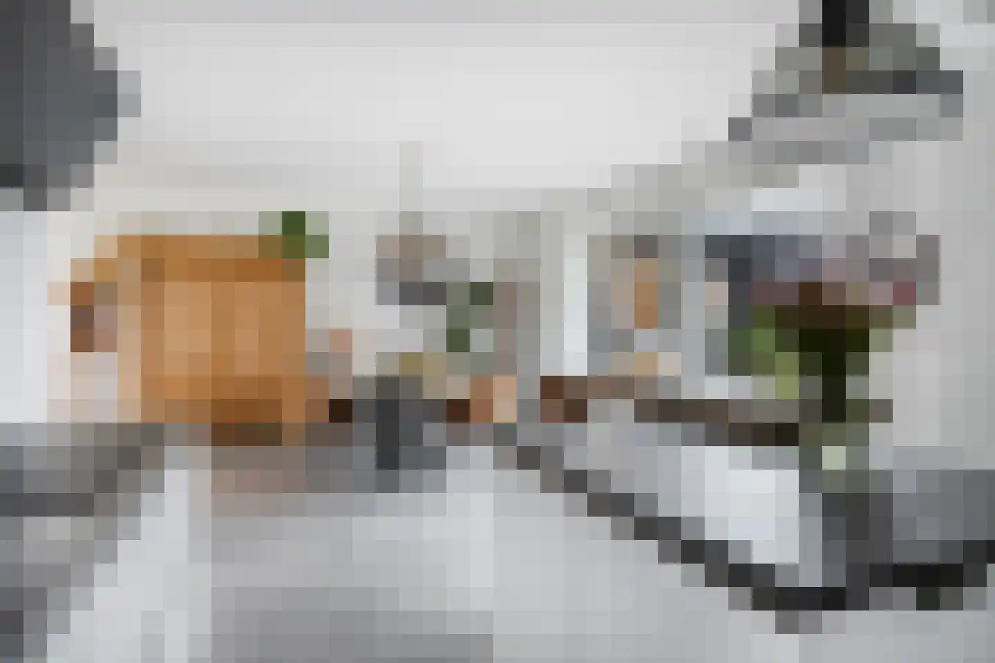 Havikskruid 87 Berghem thumbnail 12