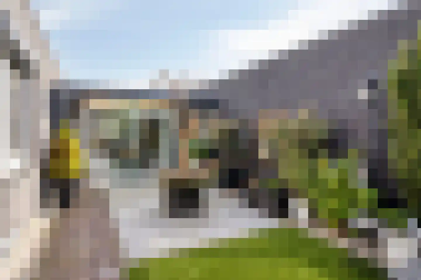 Havikskruid 87 Berghem thumbnail 27