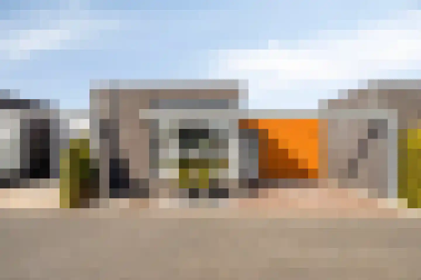 Havikskruid 87 Berghem thumbnail 28