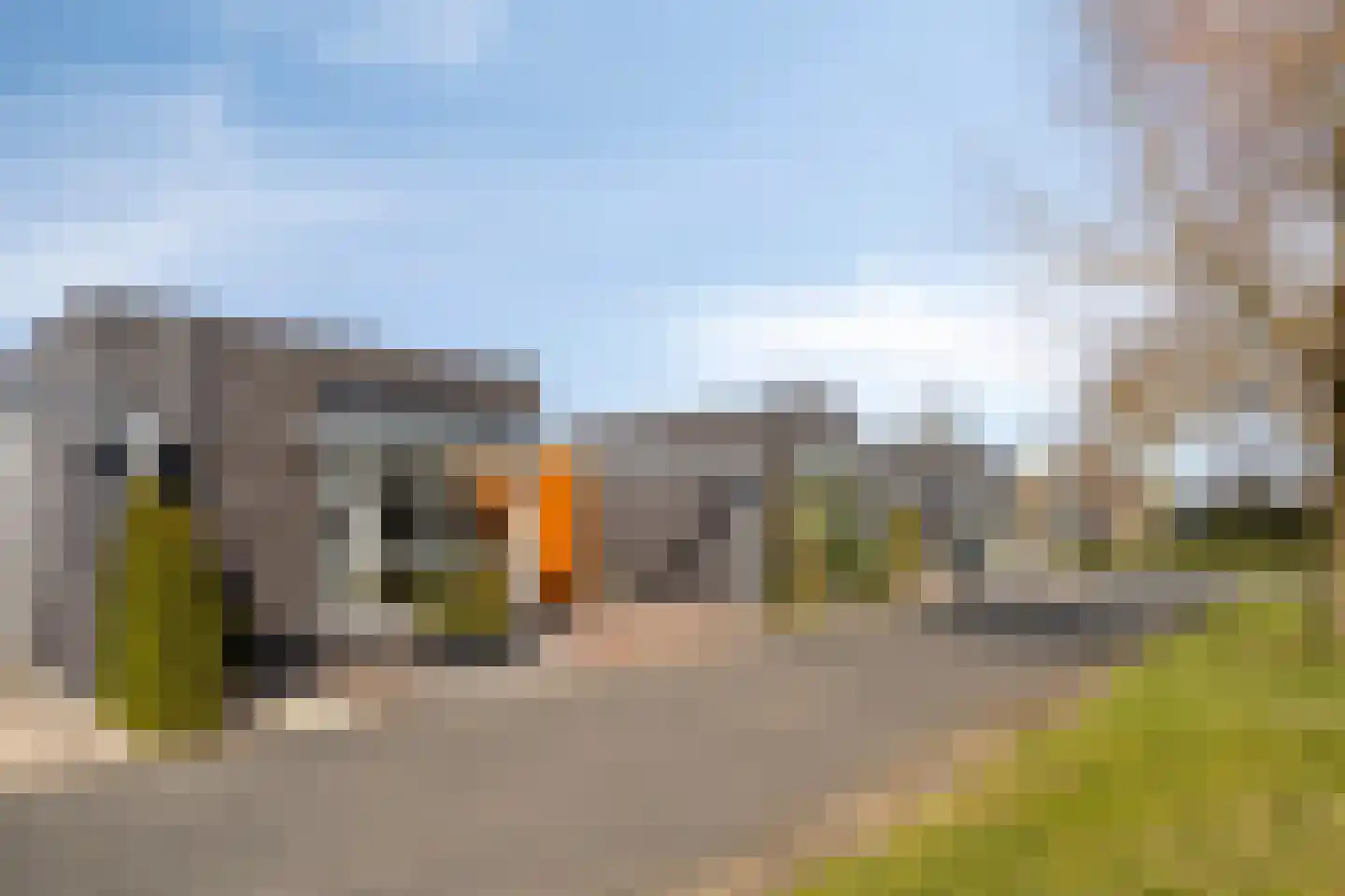 Havikskruid 87 Berghem thumbnail 30