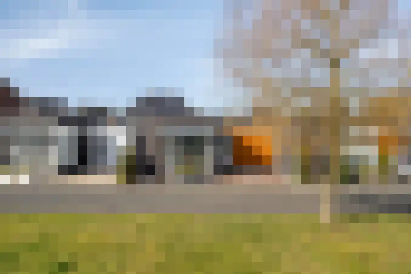 Havikskruid 87 Berghem thumbnail 31