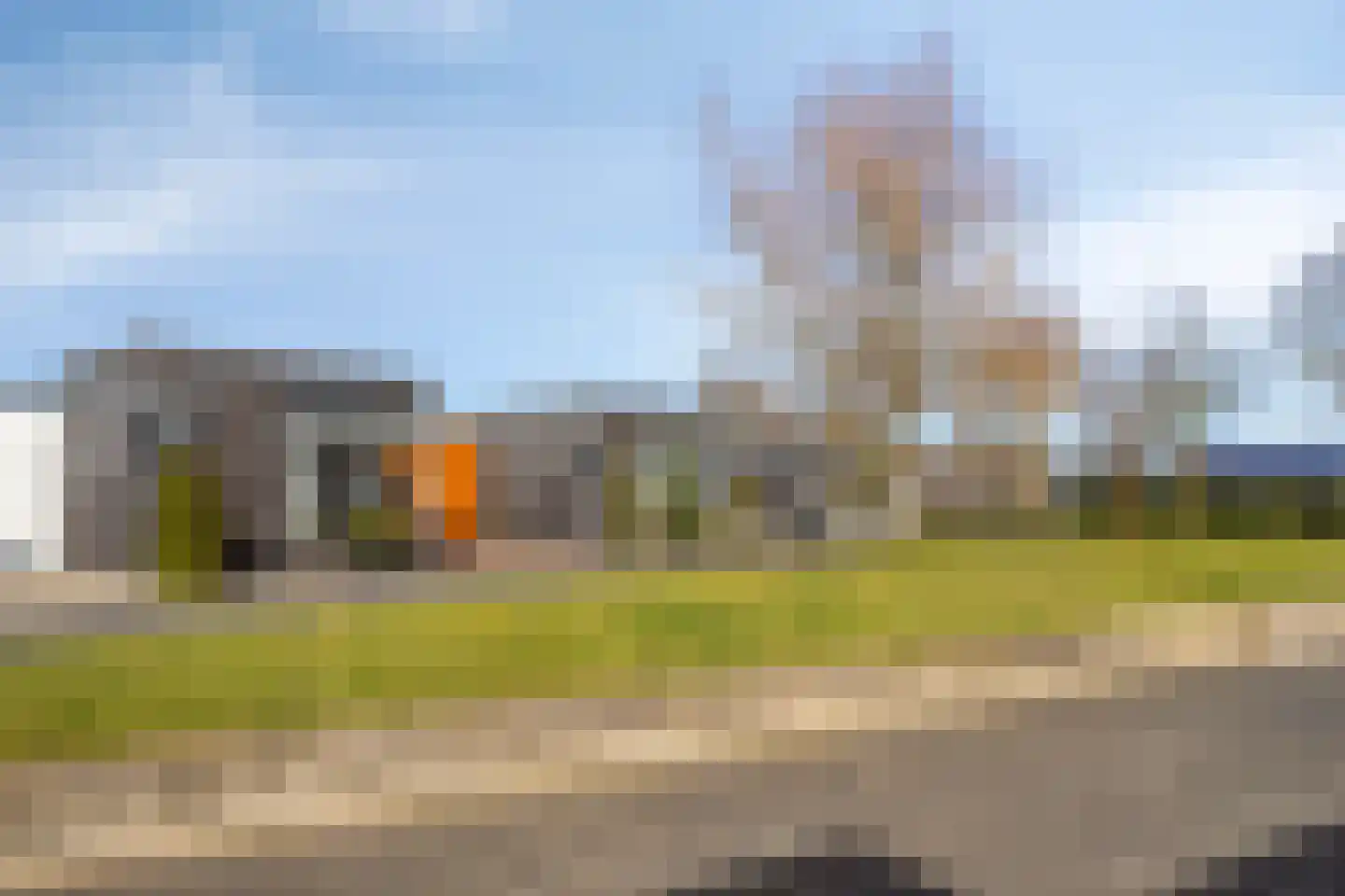 Havikskruid 87 Berghem thumbnail 32